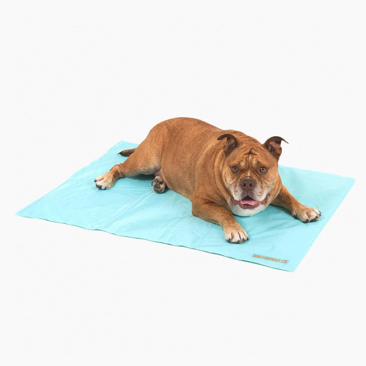 Dog Friendly Co. Dog Cooling Mat for Summer (Small, Sky Blue)
