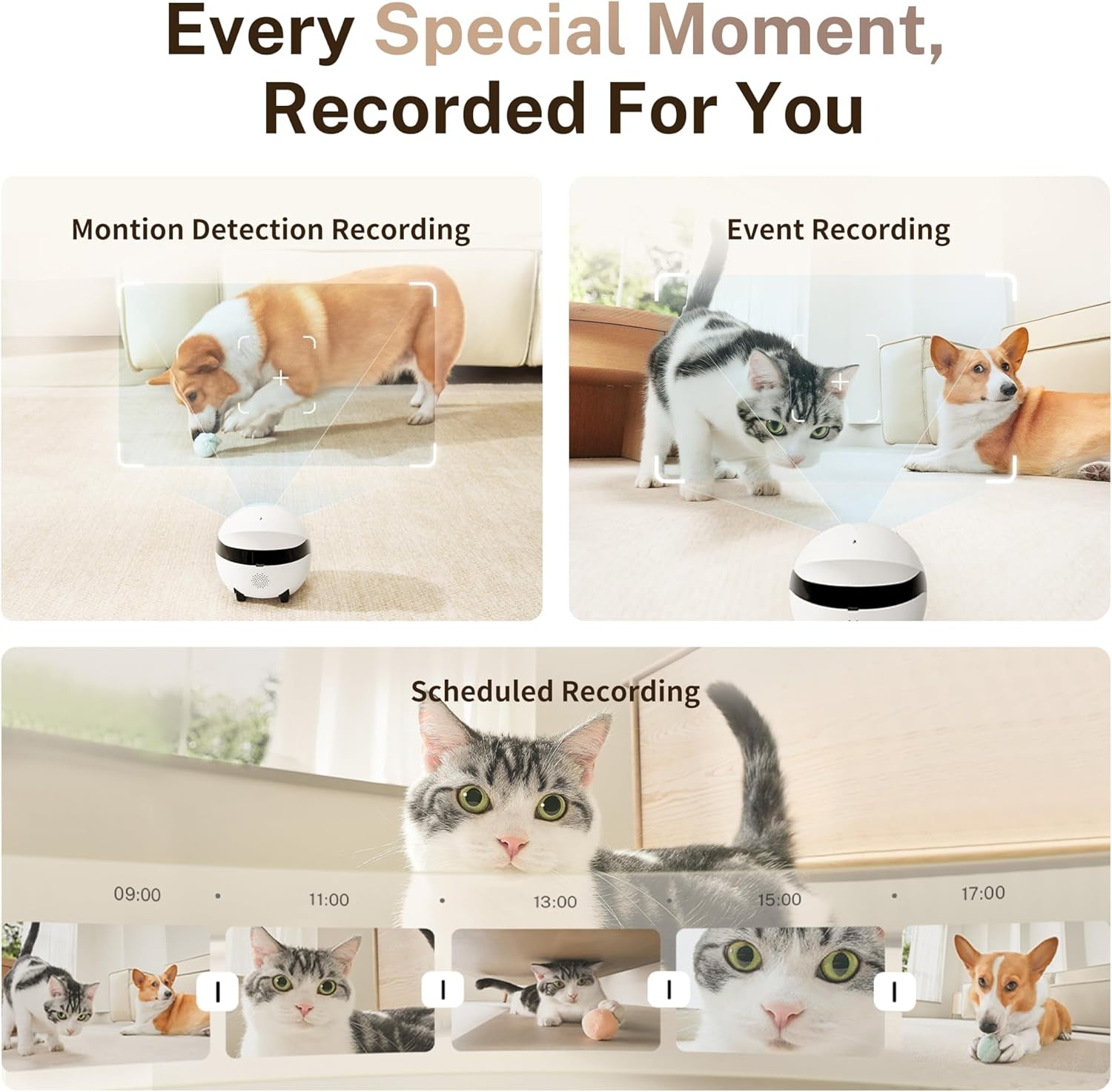 Enabot EBO ROLA Mini Familybot 2K Pet Camera Robot: Movable Indoor Camera Battery-Powered with Phone App, One-Touch Call, 2-Way Talk, Night Vision, Motion Detection, Video Recording
