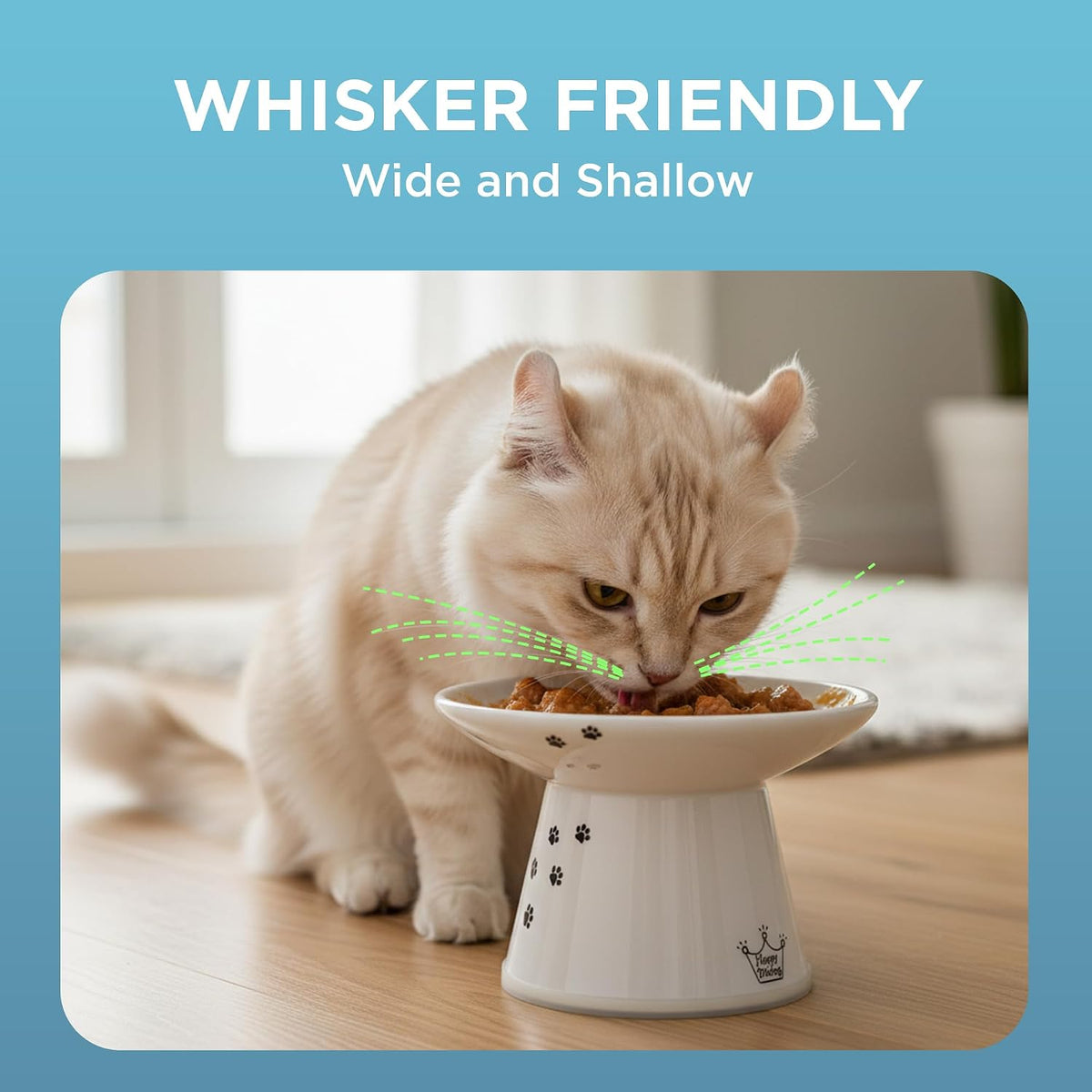 Necoichi Pocelain Ceramic Extra-Wide Elevated Cat Food Bowl (Cat, Extra Wide)