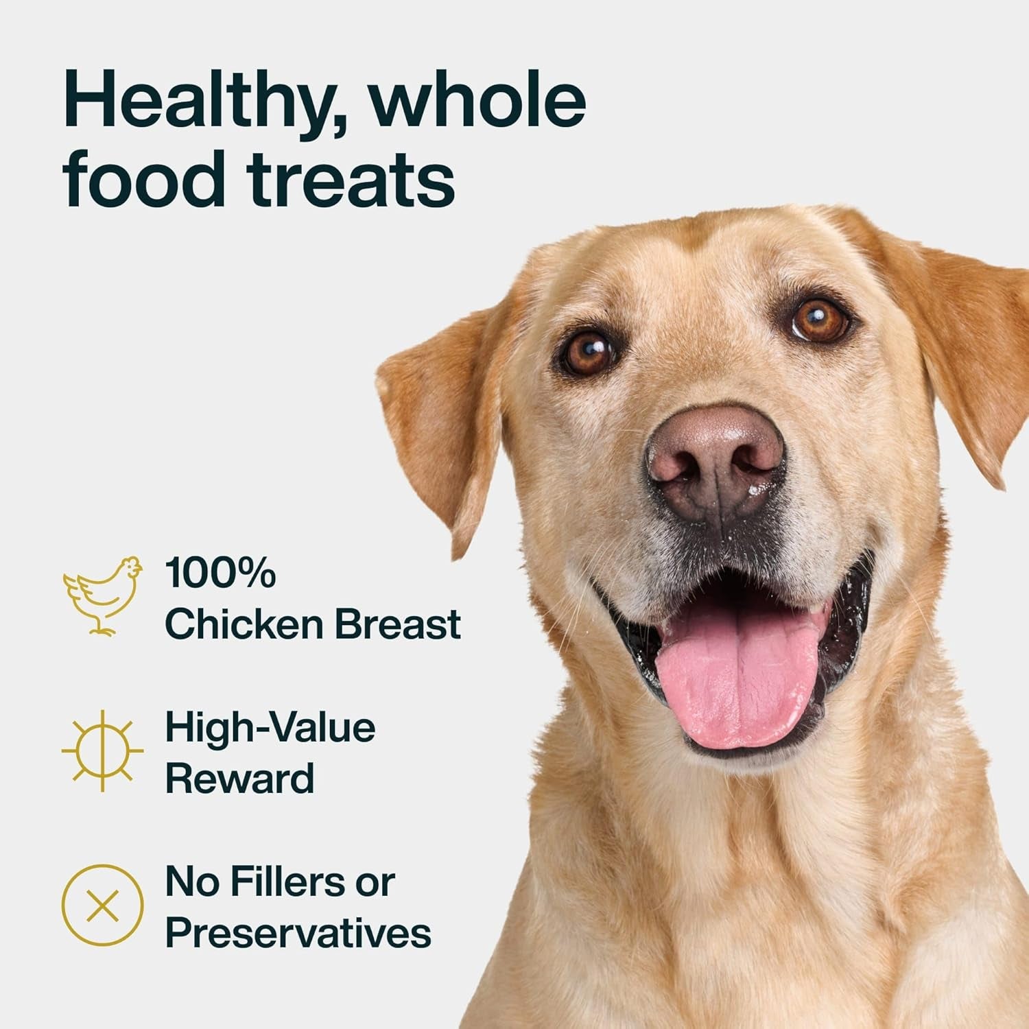 Just Food for Dogs Single Ingredient Healthy Dog Treats and Dog Snacks, Jerky Treats, Human Grade, Preservative and Grain Free, Rawhide Free Chews, Low Calorie Treat - Chicken Breast, 5 Oz
