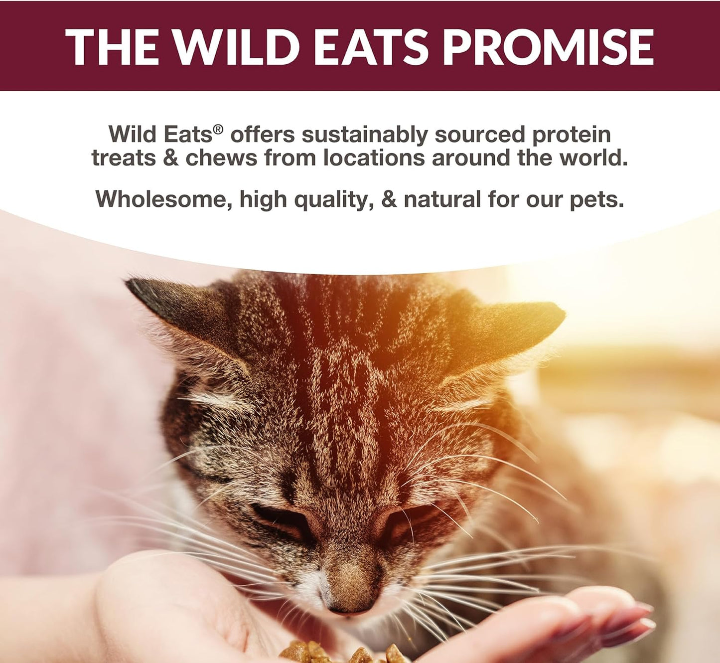Wild Eats Lickable Cat Treats Exotic Fish Variety Pack 12Ct - Ahi Tuna, Wild Pink Salmon, Red Snapper - Puree Bisque