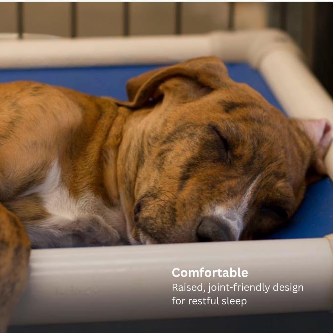 Kuranda Chewproof Elevated Pet Bed - Almond PVC - 35" X 23" - Cordura Nylon - Smoke