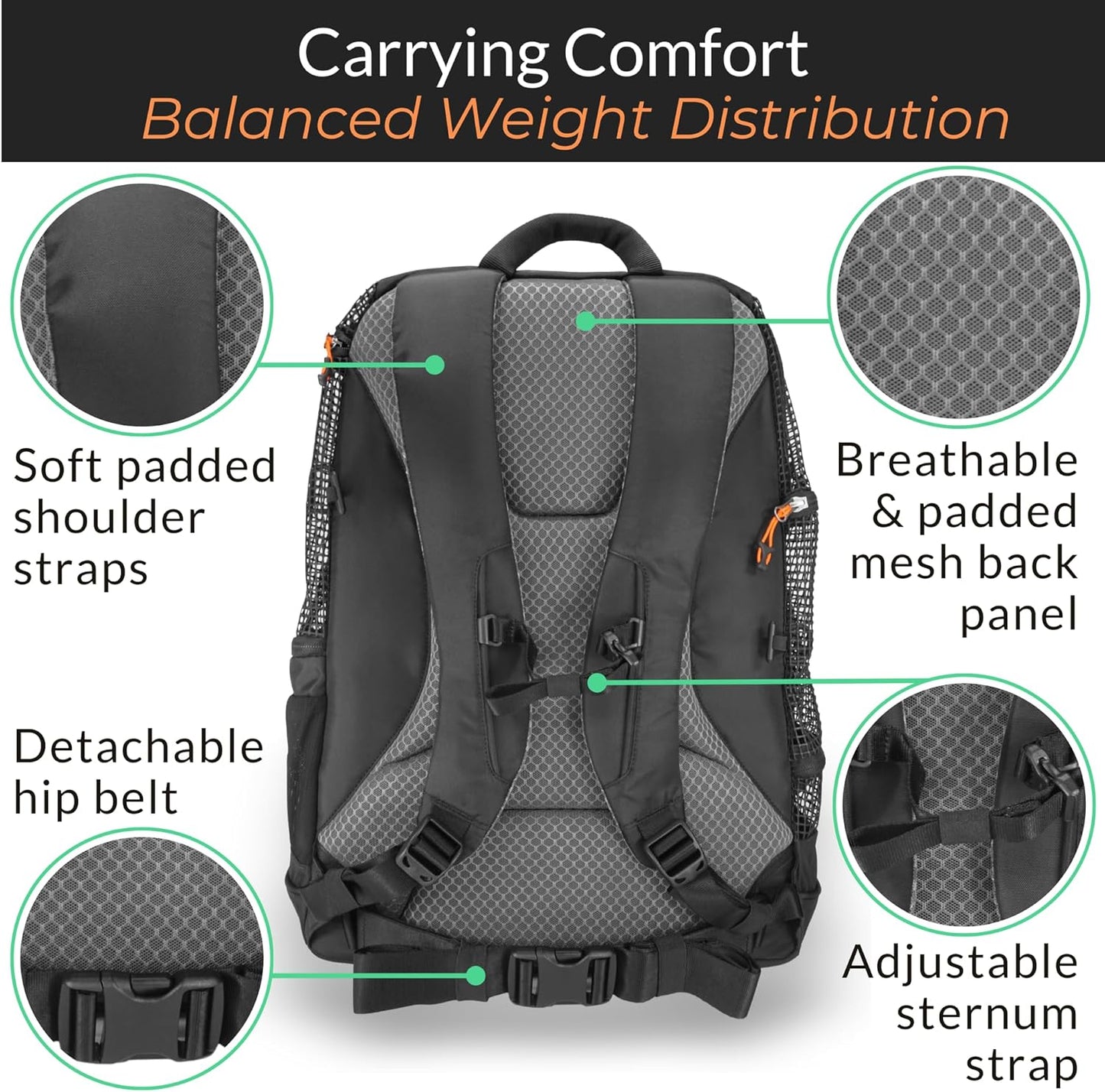 DJANGO Dog Carrier Backpack – Pet Backpack for Small Dogs & Cats with Hip Belt, Laptop Pocket & Water Bottle Sleeve – Travel Dog & Cat Carrier for Hiking, Camping & Commuting (Midnight Black)