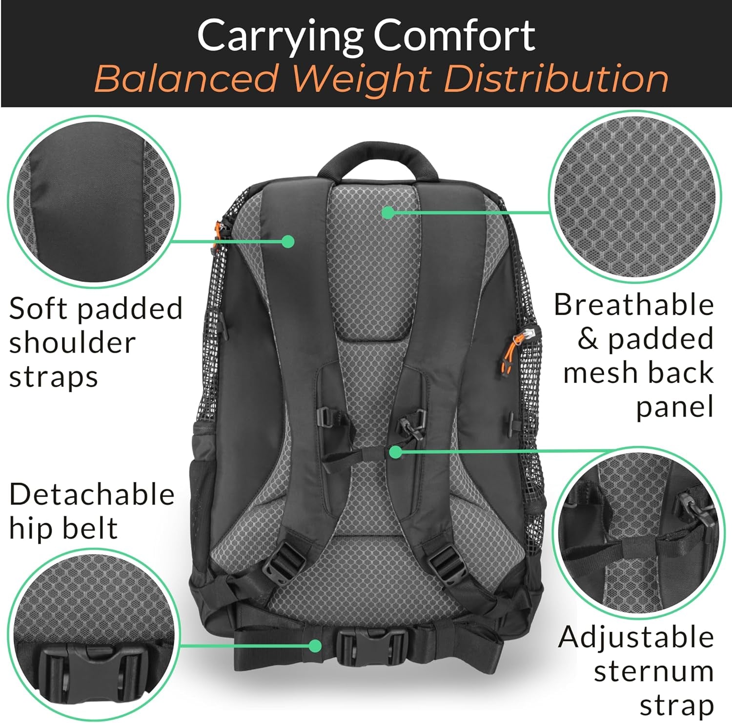 DJANGO Dog Carrier Backpack – Pet Backpack for Small Dogs & Cats with Hip Belt, Laptop Pocket & Water Bottle Sleeve – Travel Dog & Cat Carrier for Hiking, Camping & Commuting (Midnight Black)