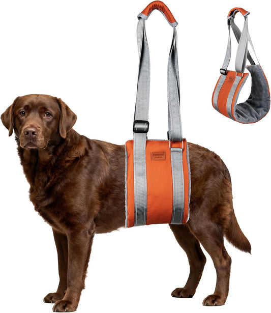 Dog Lift Harness,Dog Sling for Large Dog to Help Senior,Injured,Disabled,Xl