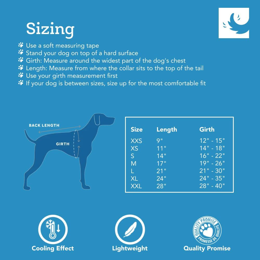 RC Pet Products Zephyr Cooling Vest, Extra Extra Small, Aqua (X-Large, Aqua)