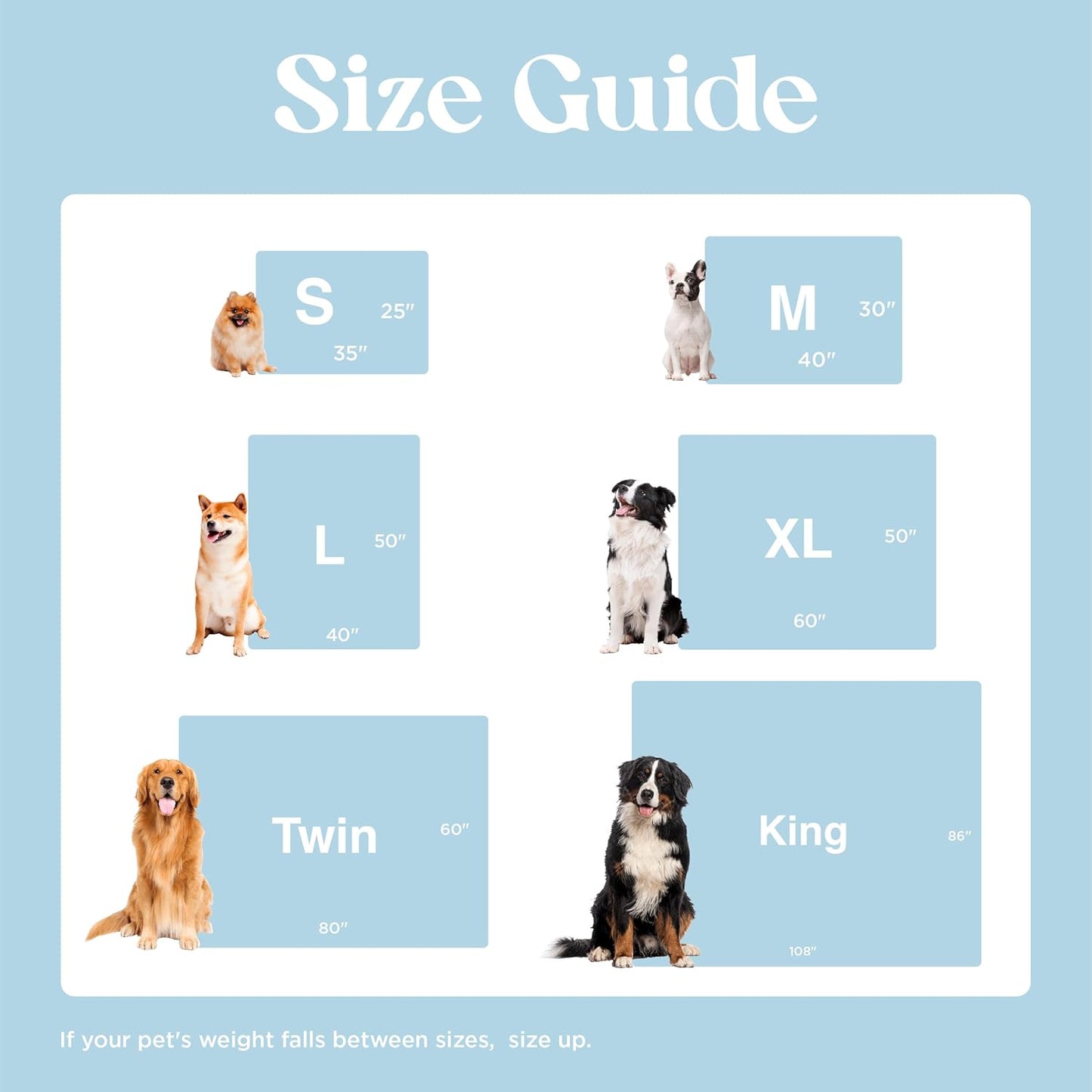 LE SURE Waterproof Puppy Blanket for Small Dogs - Washable Double Sided Dog Blankets with Warm Jacquard Shag and Soft Sherpa Fleece, Pet Cat Blanket for Couch Protection, 3D Textured Cloud, Blue