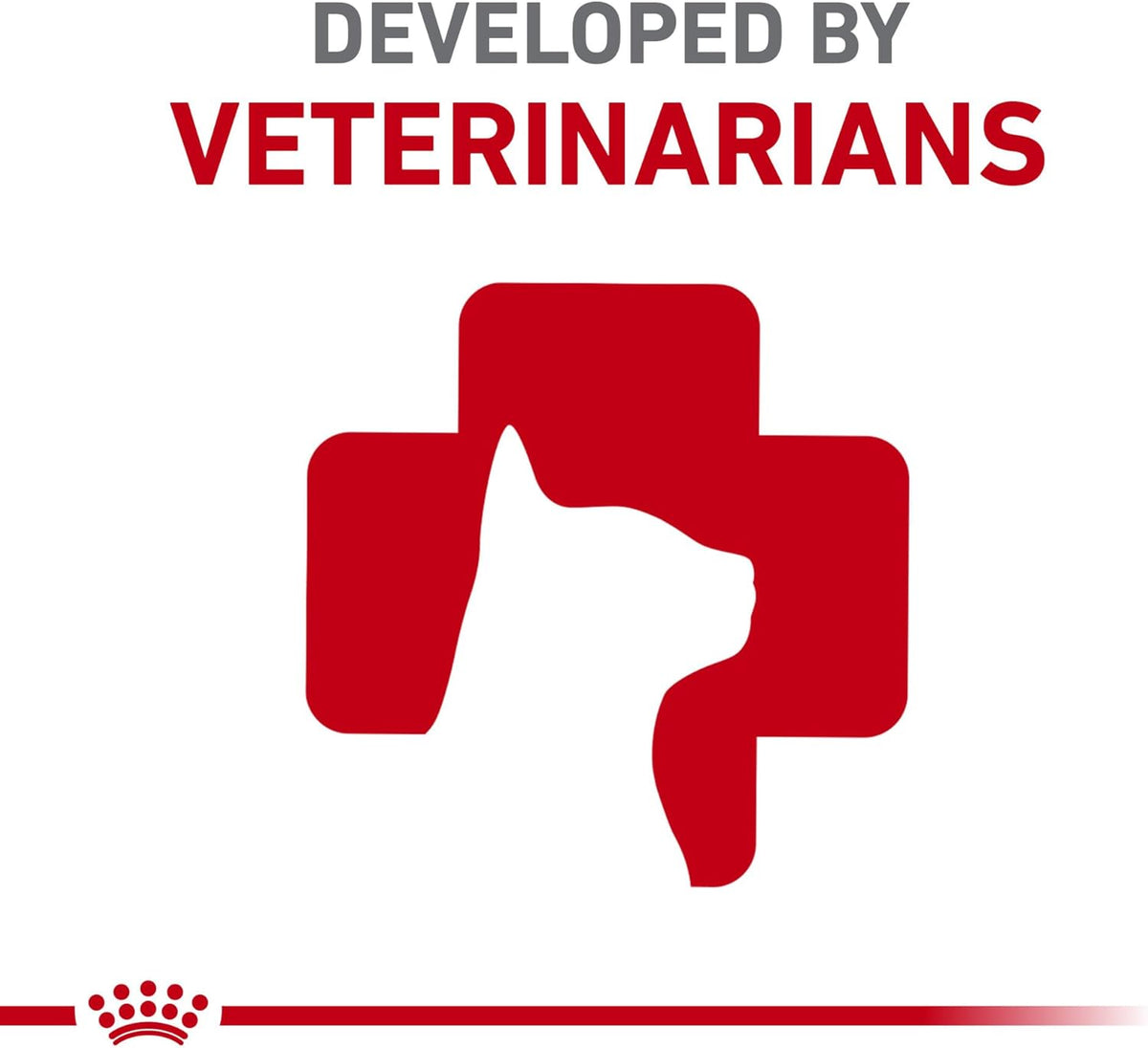 Royal Canin Feline Care Nutrition Digestive Care Adult Dry Cat Food, 6 Lb Bag