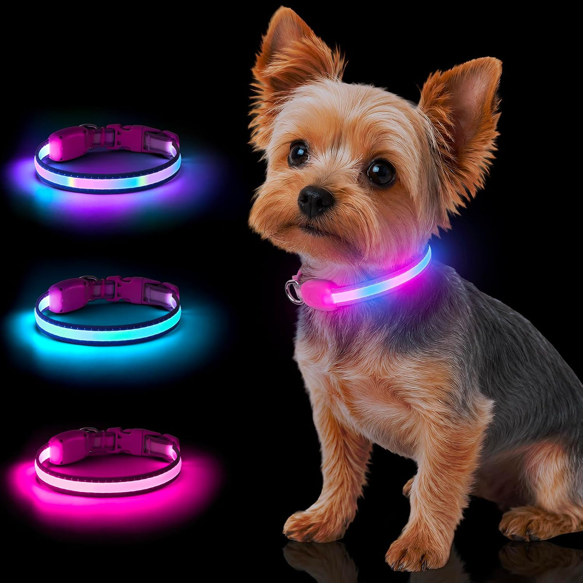 Light up Dog Collar for Small Dogs, 14 Inch LED Dog Collar, Iridescent Rainbow TPU, 7 Lighting Modes, Type-C Rechargeable Waterproof Lighted Puppy Collar for Night Walking (Iridescent Pink)