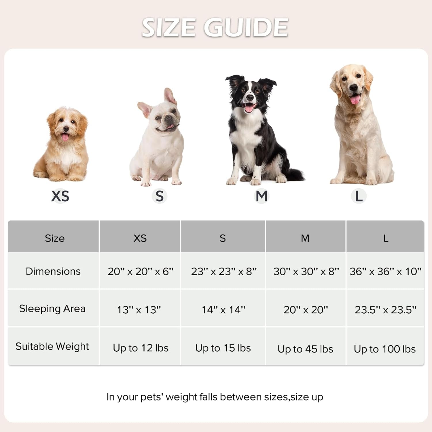 JOEJOY Donut Dog Bed Medium Size Dog, Cute round Calming Pet Bed with Removable Washable Cover, Orthopedic Puppy Bed with Jacquard Shaggy Plush & Non Skid Bottom