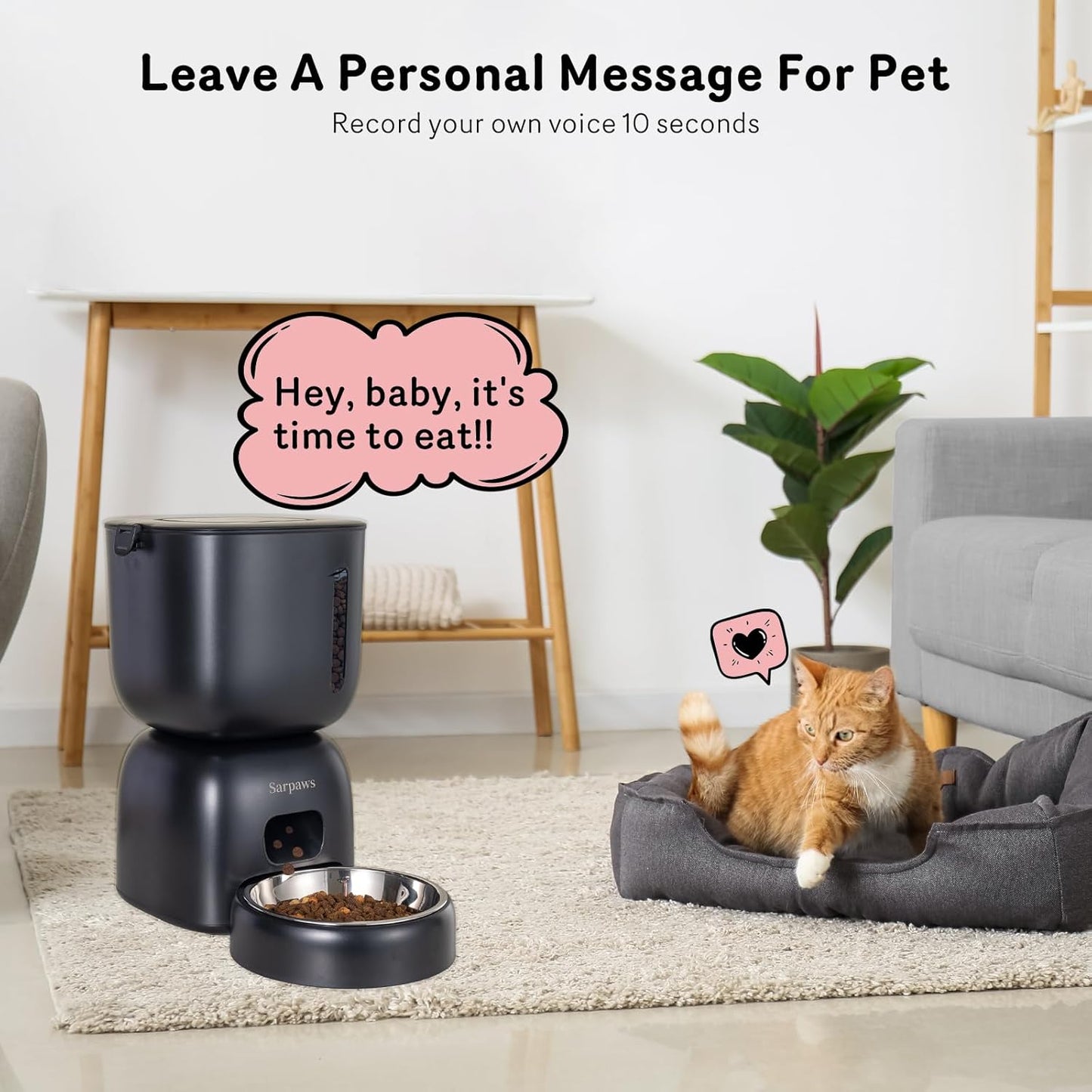 Automatic Cat Feeder and Water Dispenser FW1, Wire or Battery Cat Food Dispenser Timer Pet Feeder - Locking Lid, Desiccant Bag, Programmable Portion Control, 4 Daily Meals, 10S Voice Recorder