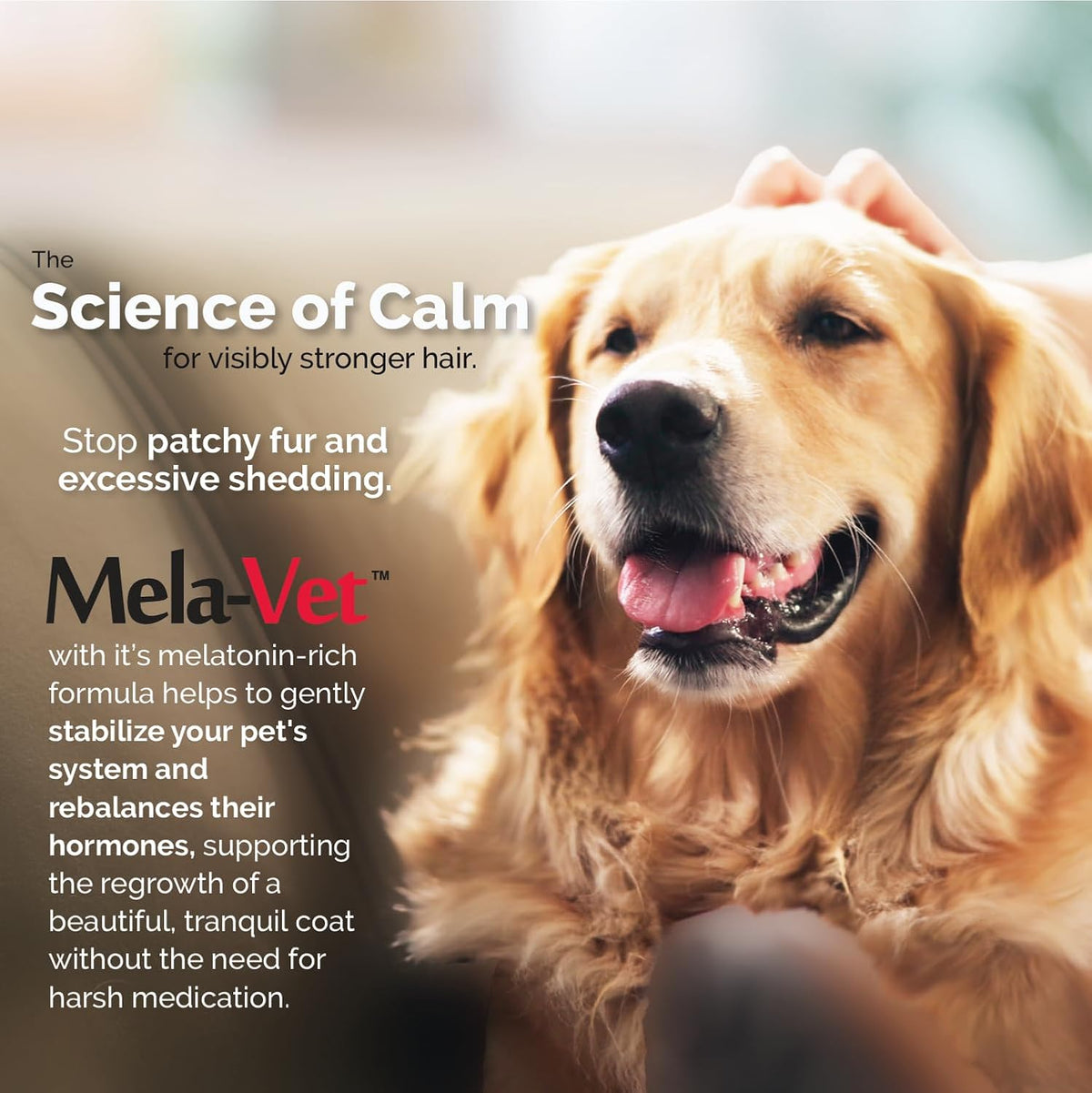 Melatonin Calming Soft Chews for Dogs – Vet-Formulated Anxiety Relief for Travel, Fireworks & Separation Stress, Helps Reduce Tension & Restlessness, Supports Healthy Skin & Coat – 120 Soft Chews