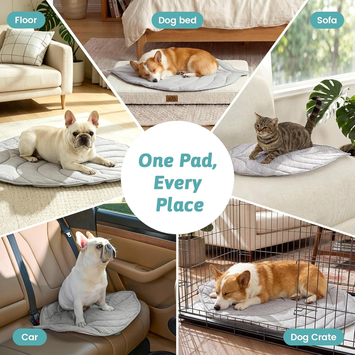 COZY KISS Dog Cooling Bed for Dogs or Cats, Leaf Shaped Pet Mat, 39X34 Inch