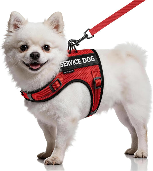 FAYOGOO Service Dog Vest for Small Dogs - Air Mesh Breathble Emotional Support Animal Vest with DIY Patches - Puppy Harness and Leash Set Adjustable Neck and Chest