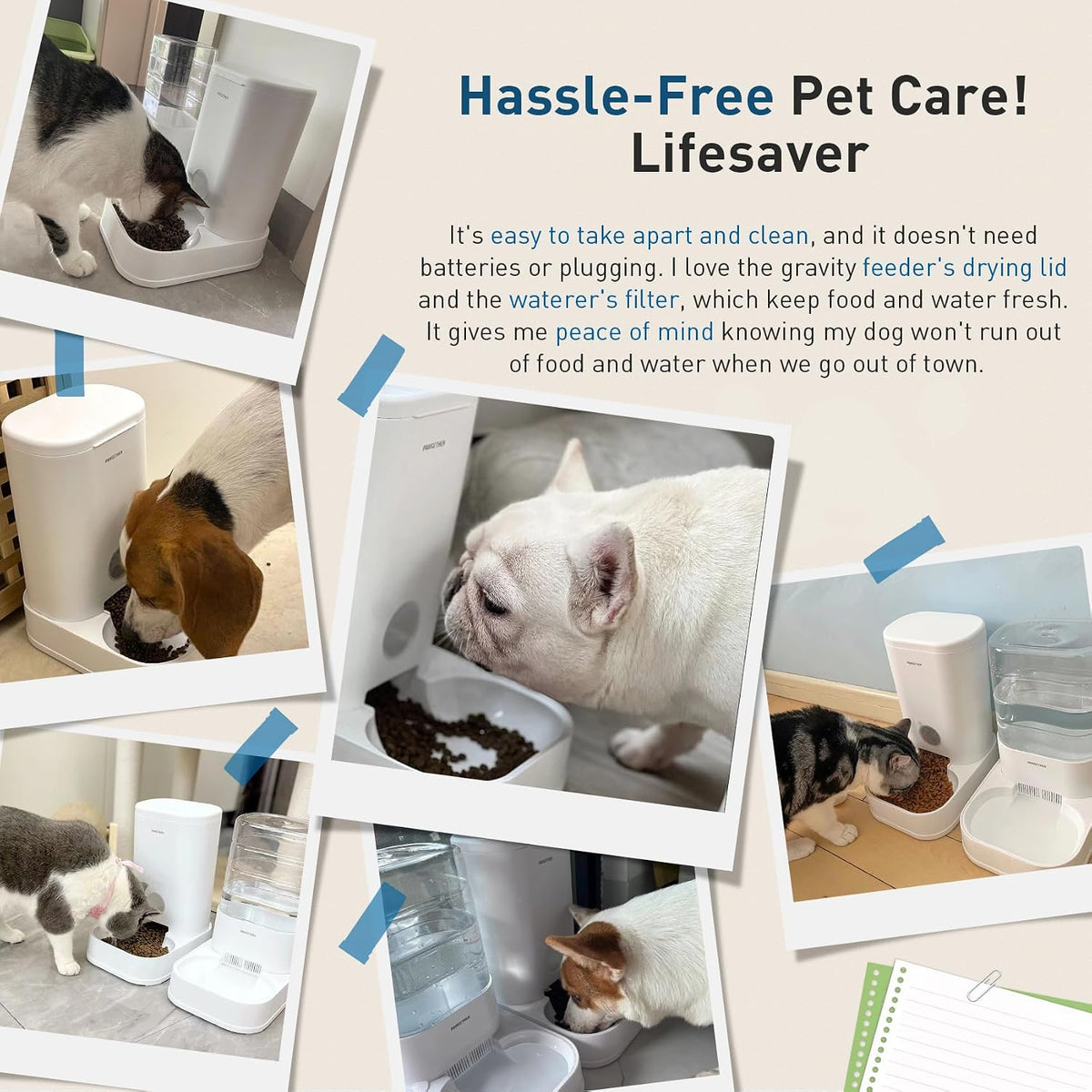 PAWGETHER® Automatic Cat Water Dispenser with 1 Filter Gravity Water Bowl for Dogs, 1 Gallon/3.5L Dog Water Bowl Dispenser, Cat Waterer, Easy to Fill