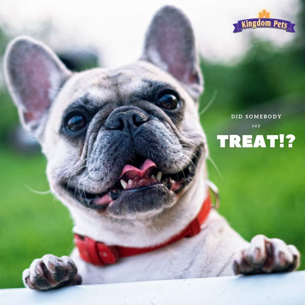 Filler Free Chicken Jerky & Sweet Potato Twists, Premium Treats for Dogs, 48-Ounce Bag