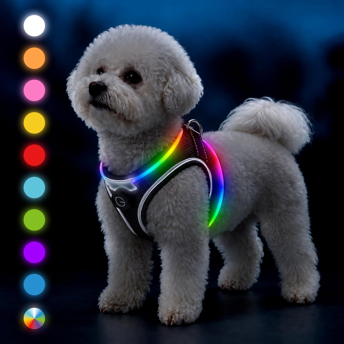 Light up Dog Harness LED Dog Vest Harness for Small Medium Dogs, Black-M