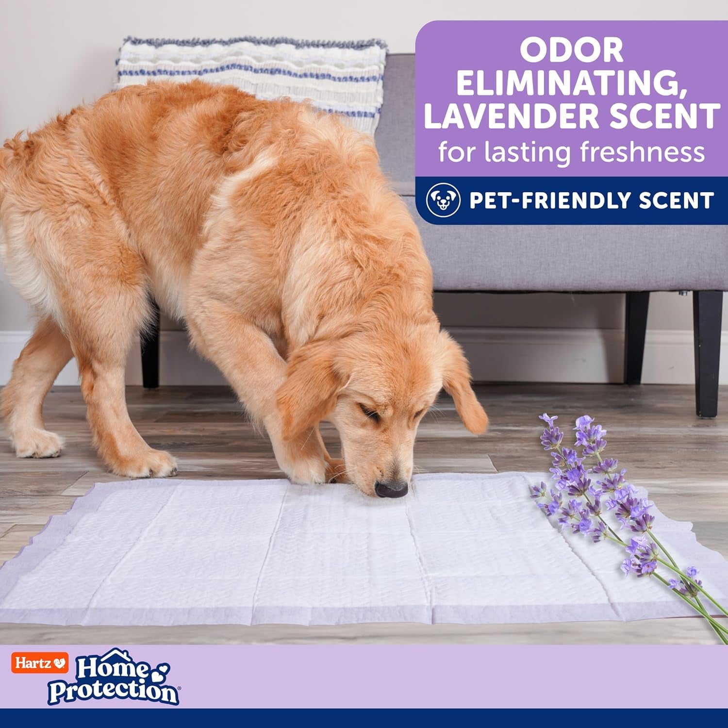 Hartz Home Protection Lavender Scent Odor Eliminating Dog Pads, 3XL, 30Ct | Thicker Quilted, Super Absorbent, Quick Drying, No Leaks, No Odors, Flashdry Technology