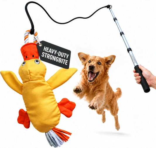 Flirt Pole for Dogs Heavy Duty 35 Inch Teaser Wand with Duck Toy