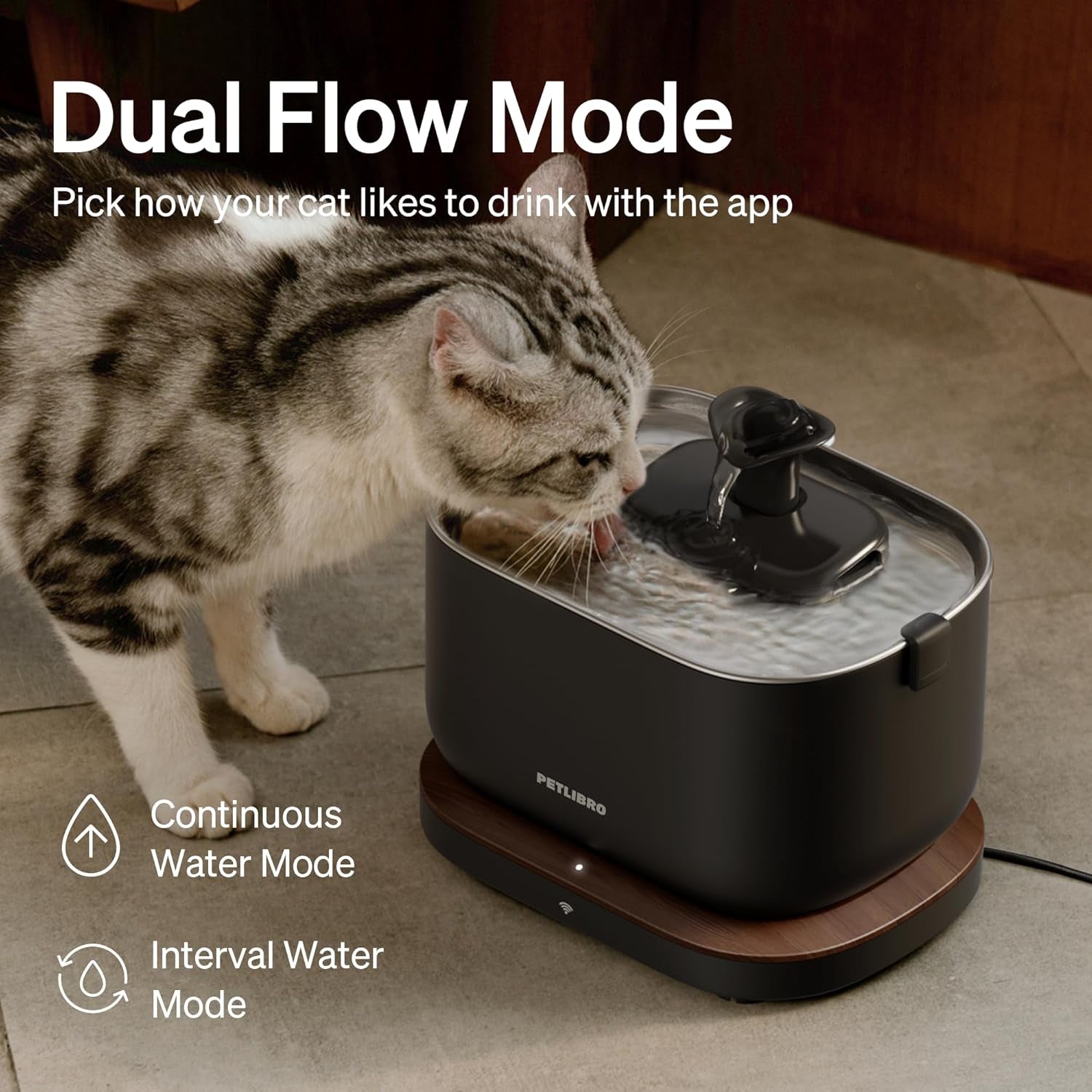 PETLIBRO Cat Water Fountain Stainless Steel Tray, App Monitoring Cat Fountain Indoor, 2.5L/84Oz Dockstream Pet Water Fountain, Quite Cat Fountains for Drinking, 2.4G Wifi Cat Water Dispenser Bpa-Free