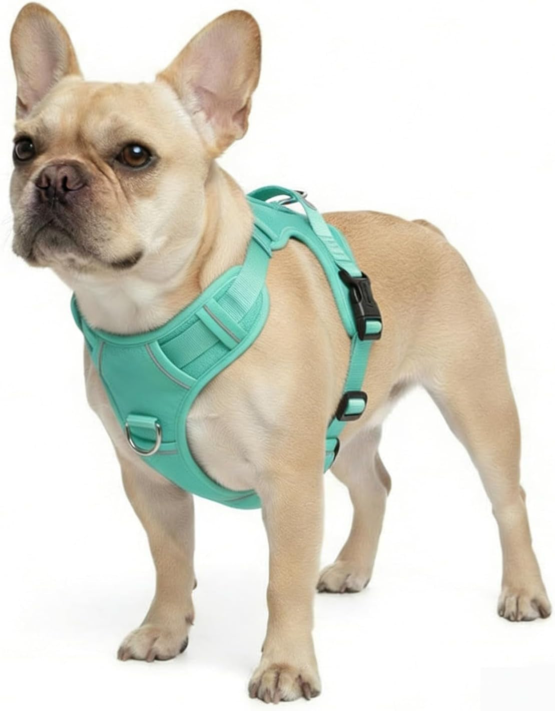 No Pull Dog Harness, Turquoise, Small