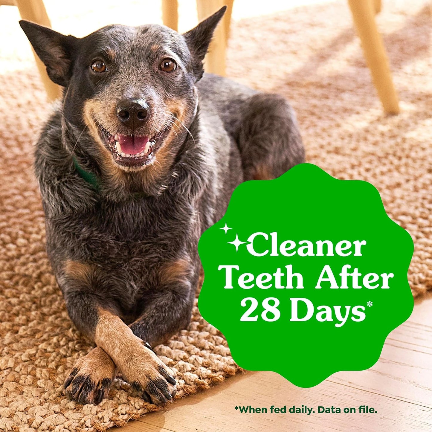 Greenies Veterinarian-Recommended Adult Natural Dental Dog Treats Petite Size, Dog Dental Chews, Original Flavor, 36 Oz. Pack, 60 Count