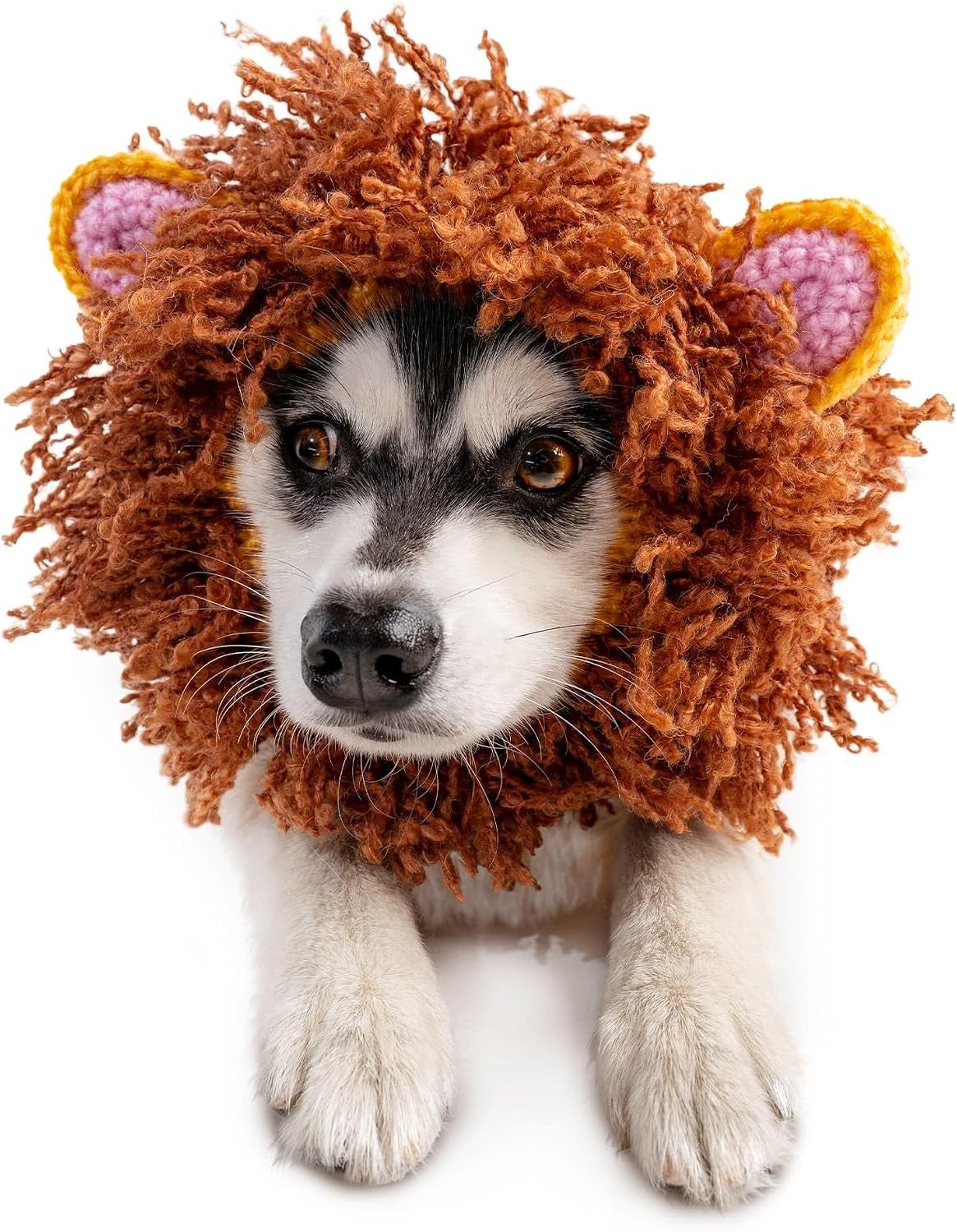 Zoo Snoods Lion Mane Dog Costume - Lion Costume for Dogs (Medium)