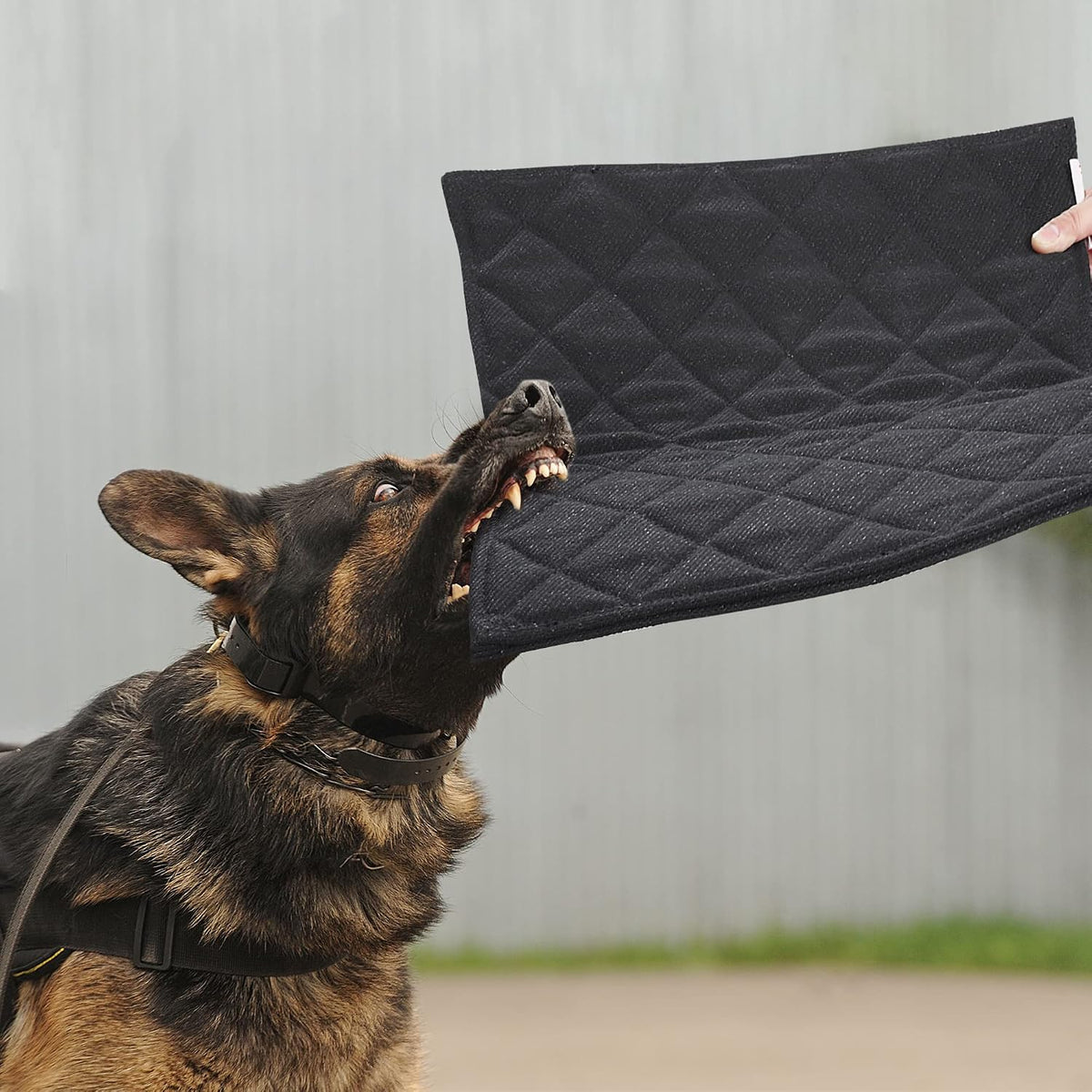 MABOZOO Indestructible Dog Bed - Chew Proof Crate Pad, Machine Washable Quilted Mat for Aggressive Chewers, Durable for Medium Dogs, Black Kennel Pad (22X35 In)