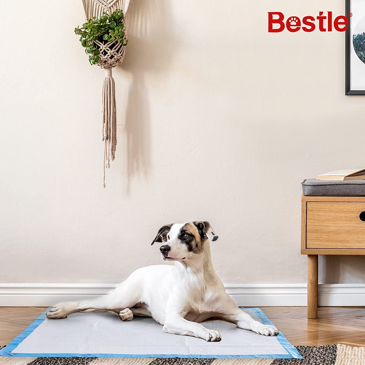 BESTLE Extra Large Pet Training and Puppy Pads Pee Pads for Dogs 28"X34" -40 Count Super Absorbent & Leak-Proof