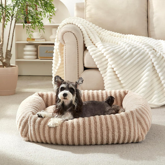MIXJOY Dog Beds for Small Dogs Cats, Washable Dog Bed with Removable Cover, Soft Calming Cat Bed for Indoor Cats, Rectangle Pet Sofa Bed for Puppy Kitty, Anti-Slip Bottom,20"X19"X6", Beige