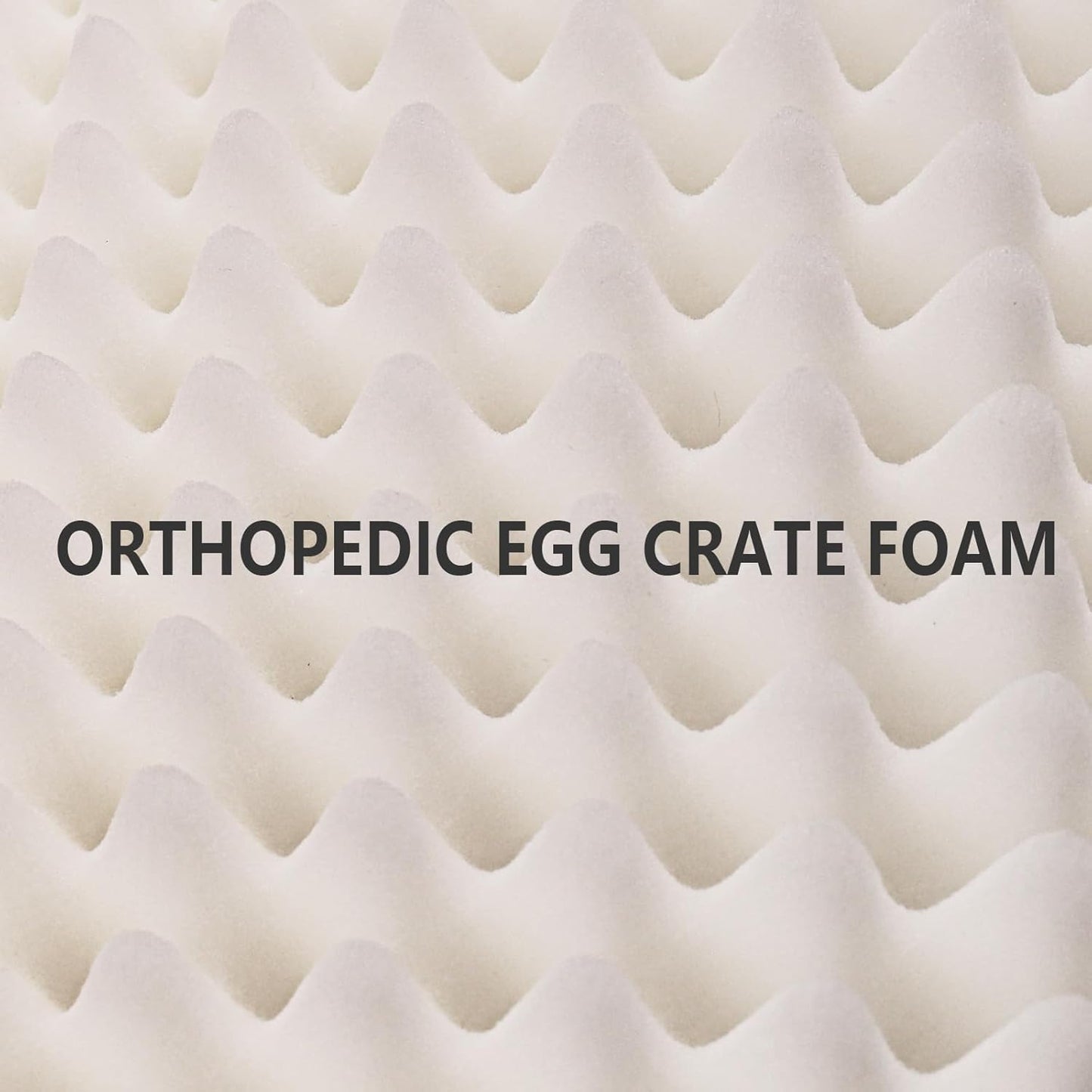 Patas Lague Orthopedic Dog Bed Large Sized Dog 36''X24'', Waterproof Soft Comfortable Egg Crate Foam Large Pet Beds Crate Mat with Removable Washable Cover and Nonskid Bottom, Black