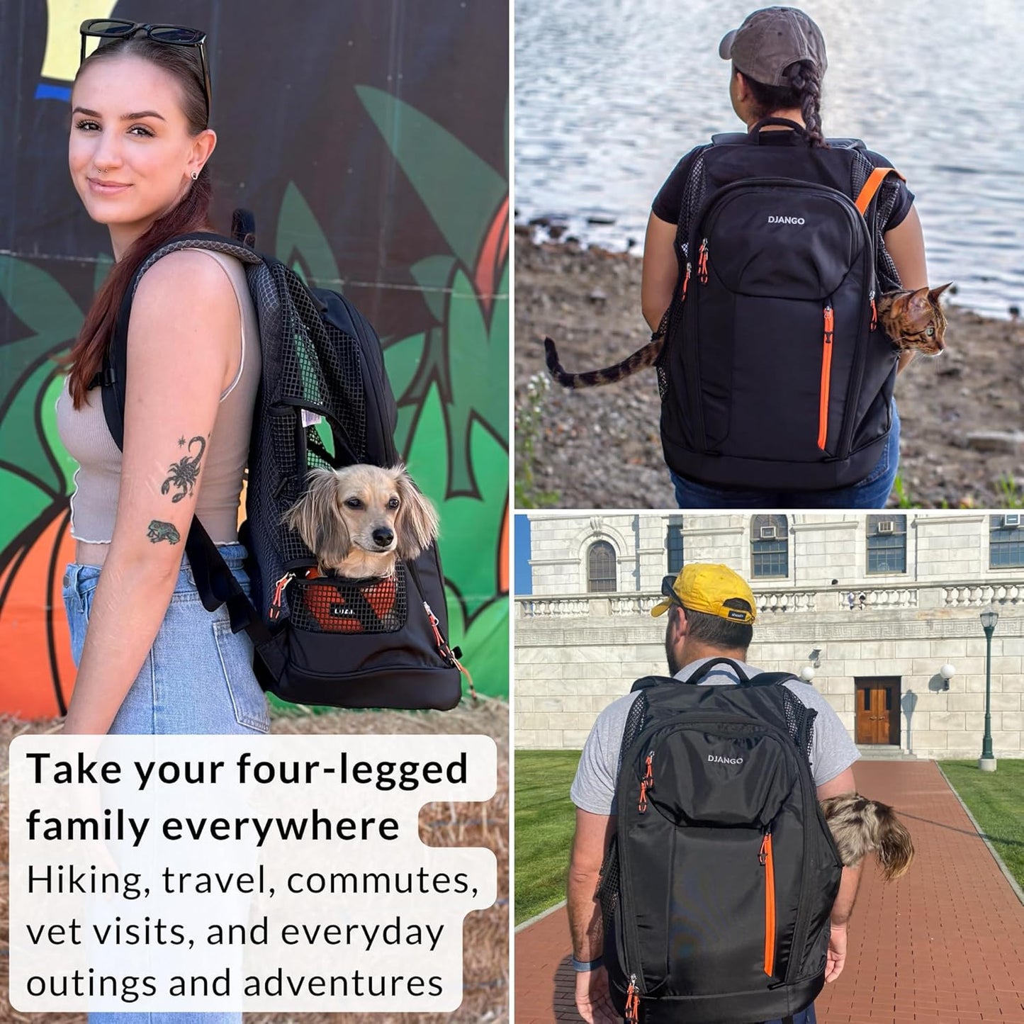 DJANGO Dog Carrier Backpack – Pet Backpack for Small Dogs & Cats with Hip Belt, Laptop Pocket & Water Bottle Sleeve – Travel Dog & Cat Carrier for Hiking, Camping & Commuting (Midnight Black)