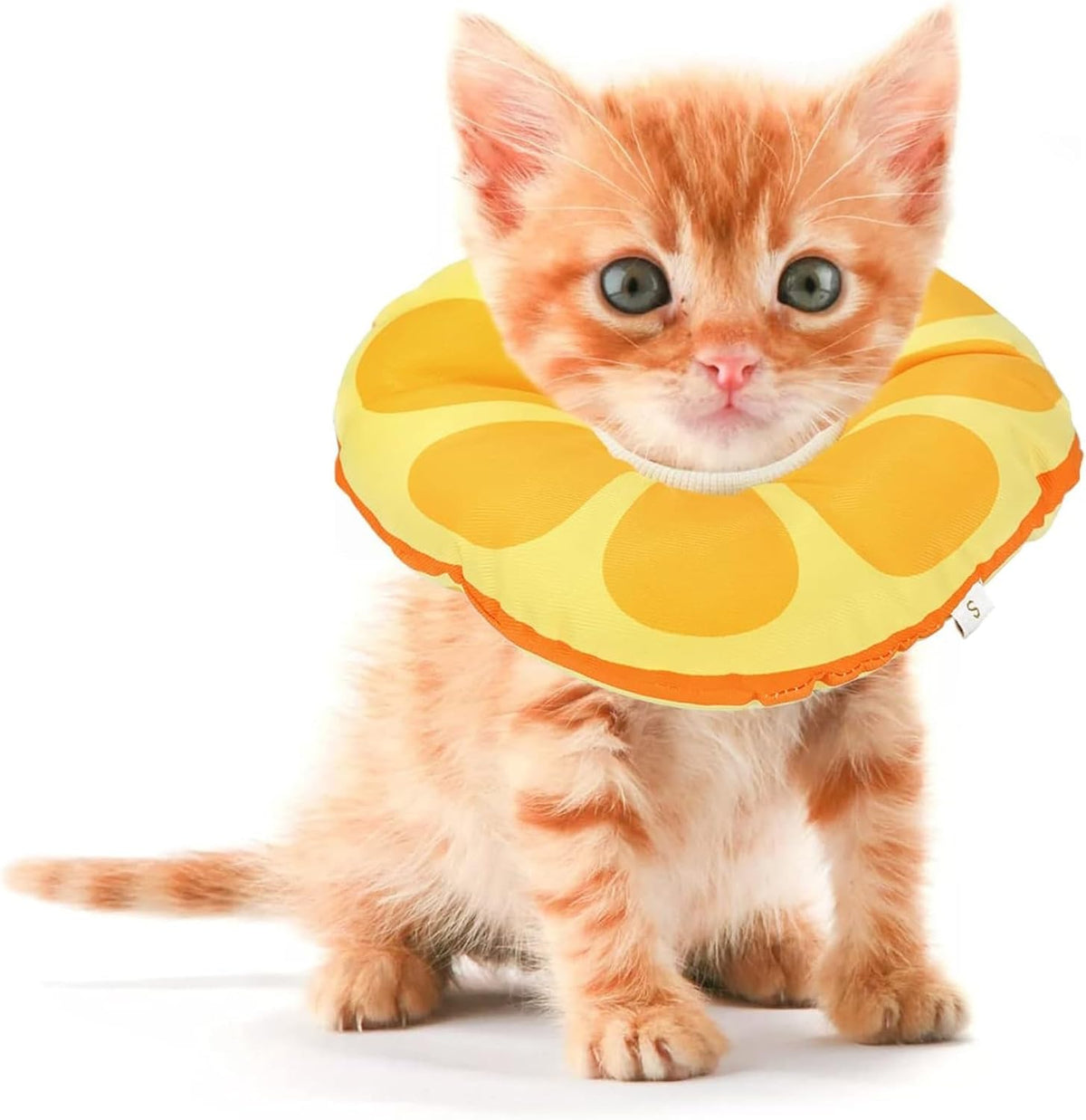 Kitten Cones after Surgery 0-6 Months, Donut Extra Small Cone Collar