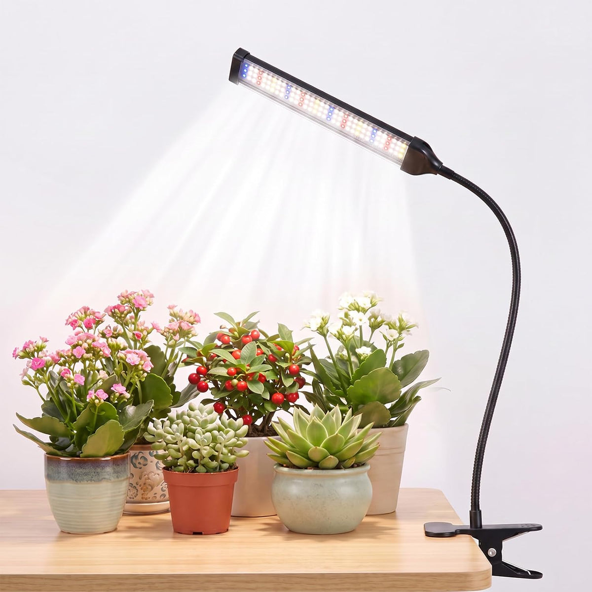 Clip on Grow Lights, 6000K Full Spectrum Indoor Plant Growing Lamp