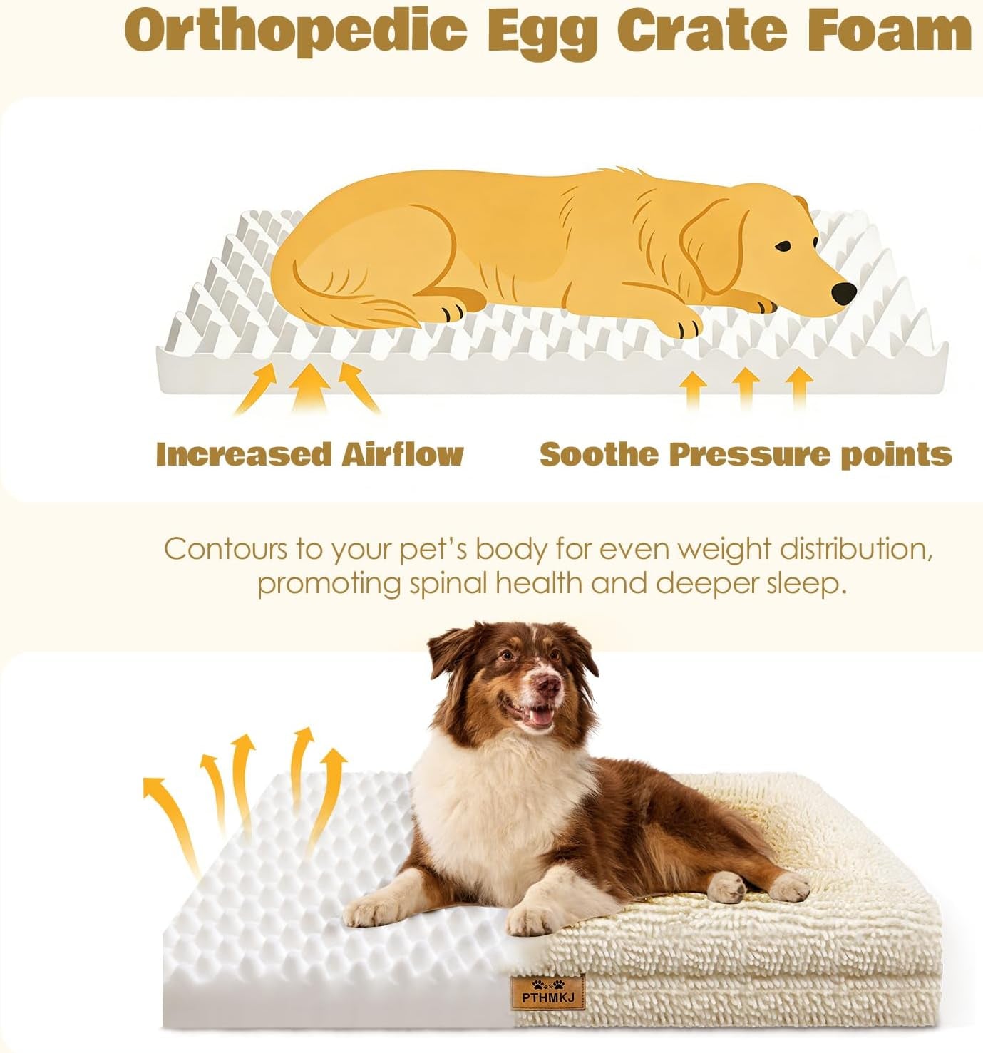 Orthopedic Dog Bed for Medium Dog Cat Noodle Cover Egg-Foam Dog Cat Bed Medium Pet Sofa with Removable Cover Washable Waterproof Pet Couch Beds (White, 30.0" L X 20.0" W X 6.3" Th)
