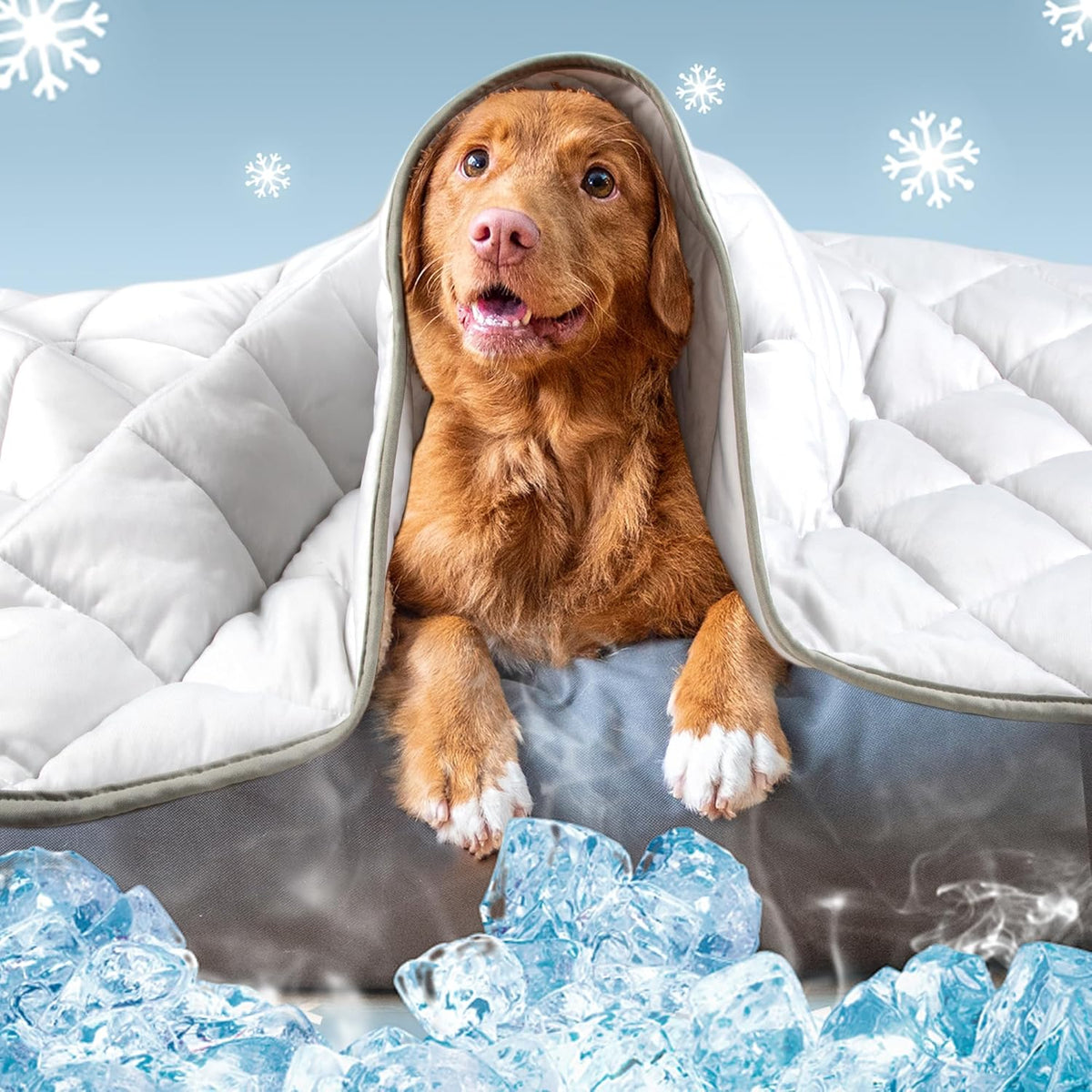 Leekalos Dog Cooling Mat,Pet Cooling Pads for Dogs Blanket,Summer Cooling Bed for Cats Blanket,Portable Pet Cooling Cushion for Home & Outdoor，Keep Cooling for Pets (Cool Grey, Medium(29"X40"))