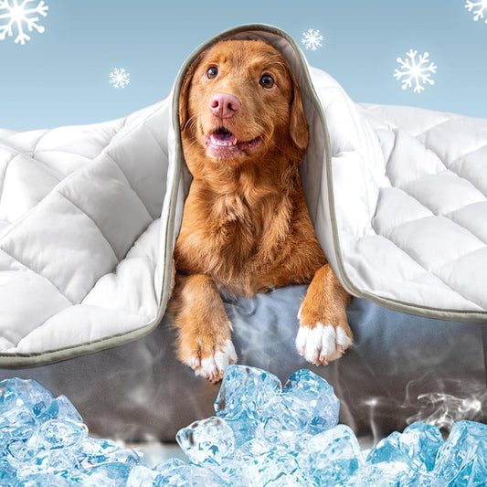 Leekalos Dog Cooling Mat,Pet Cooling Pads for Dogs Blanket,Summer Cooling Bed for Cats Blanket,Portable Pet Cooling Cushion for Home & Outdoor，Keep Cooling for Pets (Cool Grey, Medium(29"X40"))