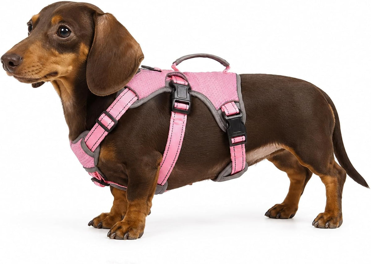 Escape Proof Dog Harness, No Escape No Pull Reflective Dog Harness with Durable Handle, Adjustable Heavy Duty Vest for Small Medium Large Dogs, Walking and Training (Pink,S)
