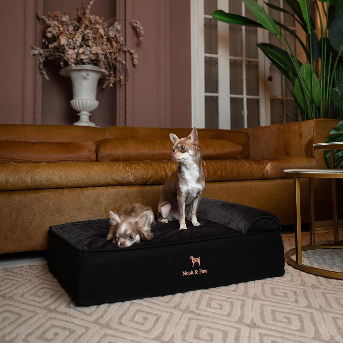NOAH & PAW Dog Bed, 28X23X7.5 Inch, Orthopedic Dog Beds for Medium Size Pets, Eggshell Memory Foam Infused with Cooling Gel, Water Resistant, Machine Washable, Includes Inner Cover