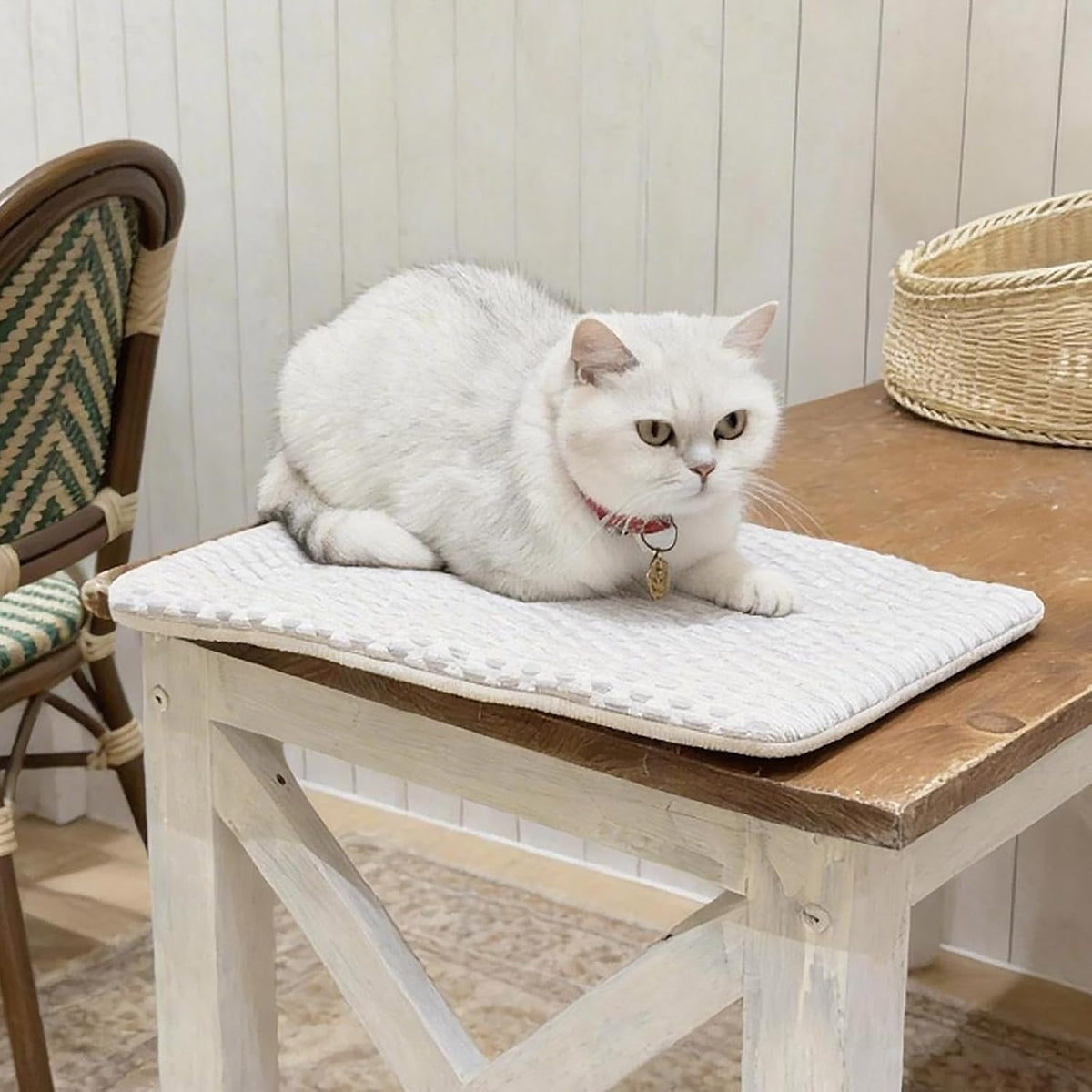 2-In-1 Cooling Pet Mat & Crate Pad for under 8Lbs Cats, 20"X12", S