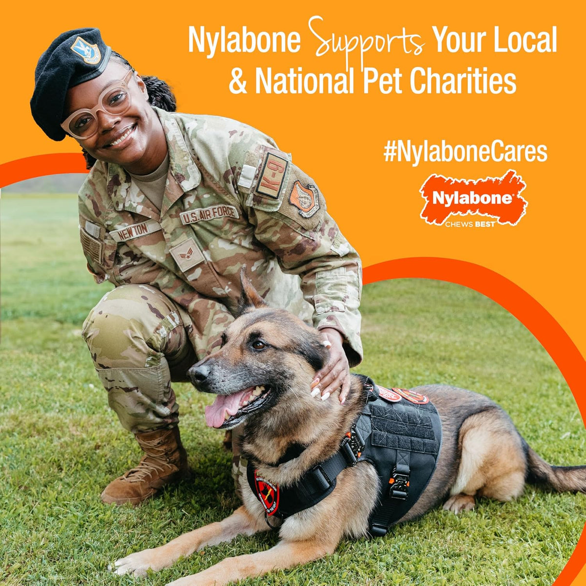 Nylabone Flexi Chew Gumabone Dog Chew Toy, Chicken Flavor, Large