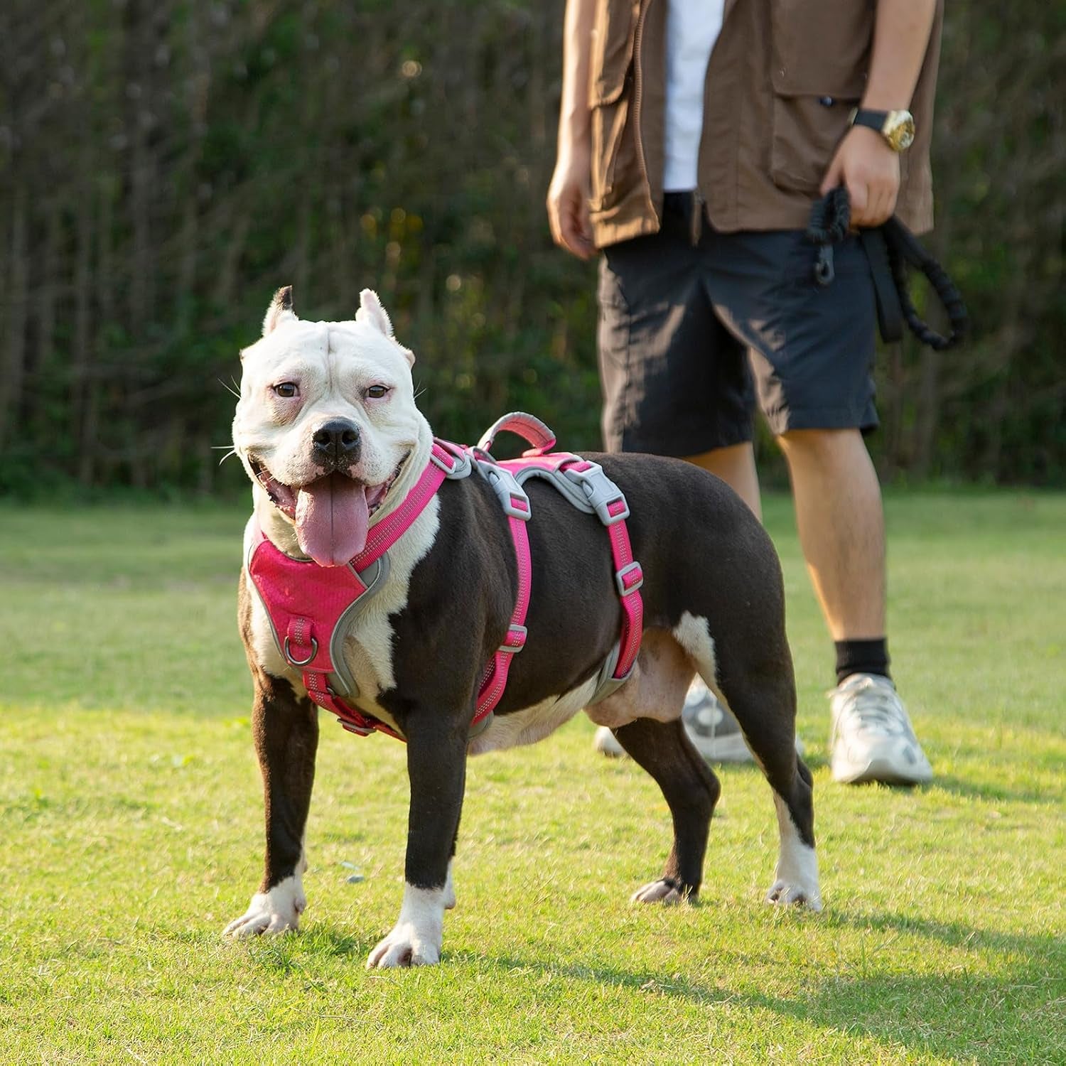Huntboo Escape Proof Dog Harness, Escape Artist Harness, Reflective Harness with Padded Handle, Breathable, Durable, Adjustable Vest for Medium Dogs Walking, Training, and Running Gear（Rose Red, S