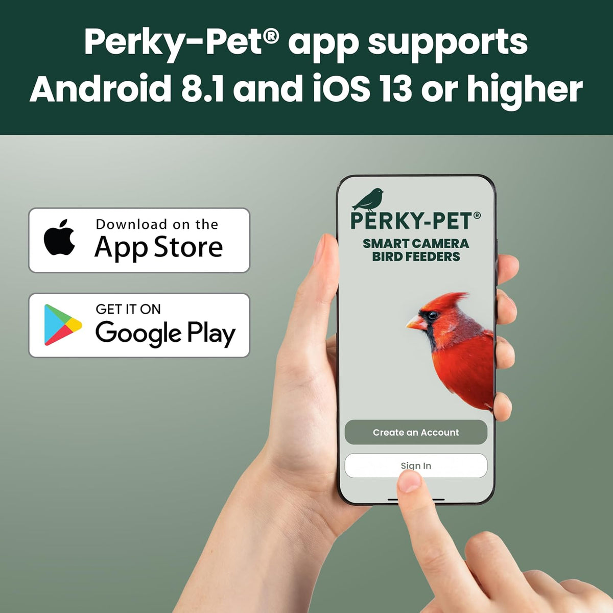 Perky-Pet SPCAM Perky-Pet Smart Bird Feeder with Camera - Squirrel-Resistant, 3.5 Lb Capacity, Motion Activated 1080P HD, Wi Fi, SPCAM - Camera Feeder Gift Idea