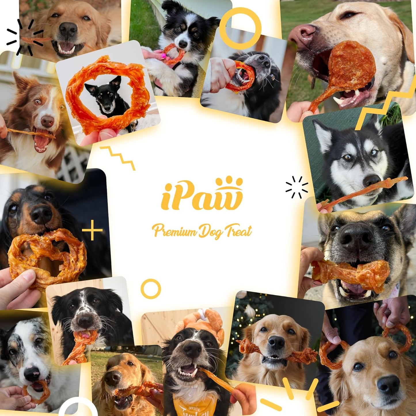 Ipaw Turkey Tendons for Dogs, Single Protein, Hypoallergenic, All Natural Human Grade Puppy Chew, Rawhide Alternative Dog Treats, 1 Pack Strip (Large)