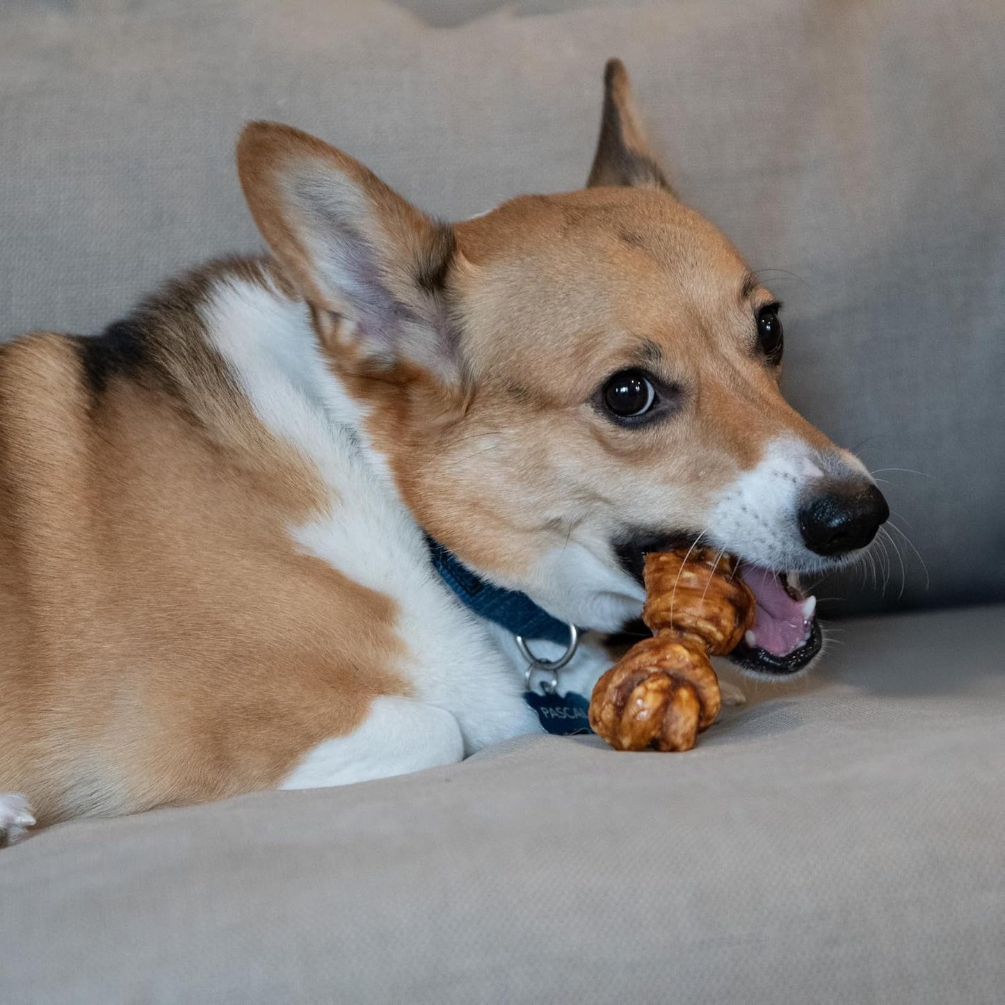 Nothin' to Hide Collagen-Based Dog Chews Small Knotted Bones, Beef Flavor, Easily Digestible, Supports Skin, Coat, Joints & Muscles, for Moderate Chewers under 15Lbs, 4In, 3 Pieces