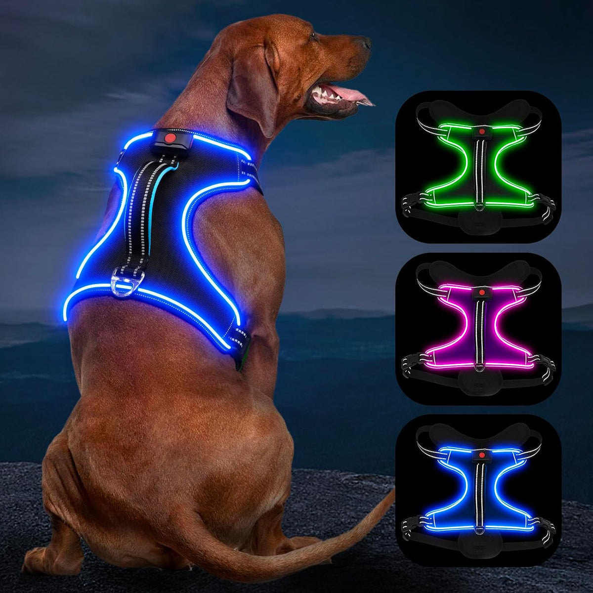 LED Light Dog Harness, X-Large, Black-Blue, No-Pull, Rechargeable, for Large Dogs