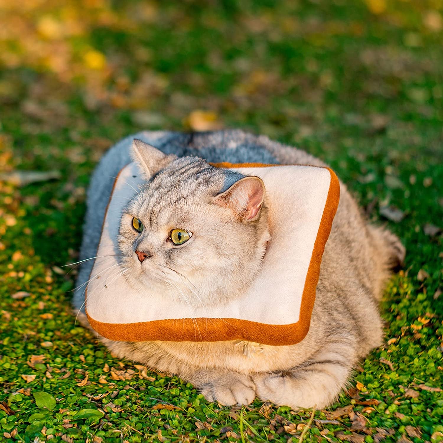 Amakunft Adjustable Cat Cone Collar Soft, Cat Recovery Collar, after Surgery Neck Cone, Elizabethan Collar for Kitten