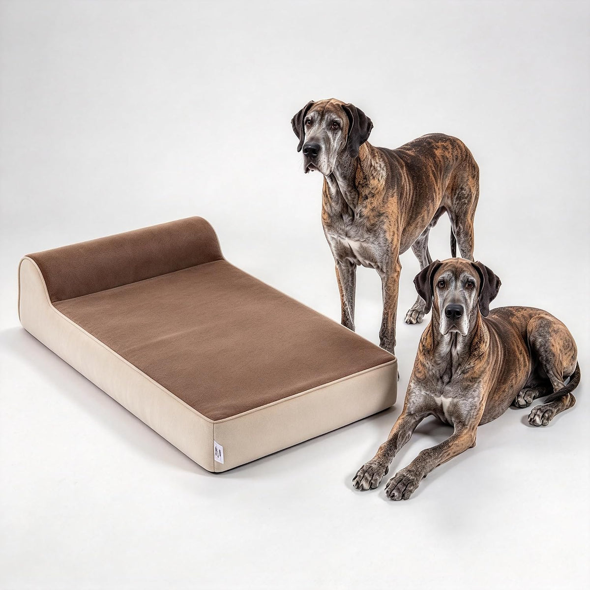 XXL Dog-Bed Large Sized Dog Washable Cover Orthopedic Memory Foam Pet Bed