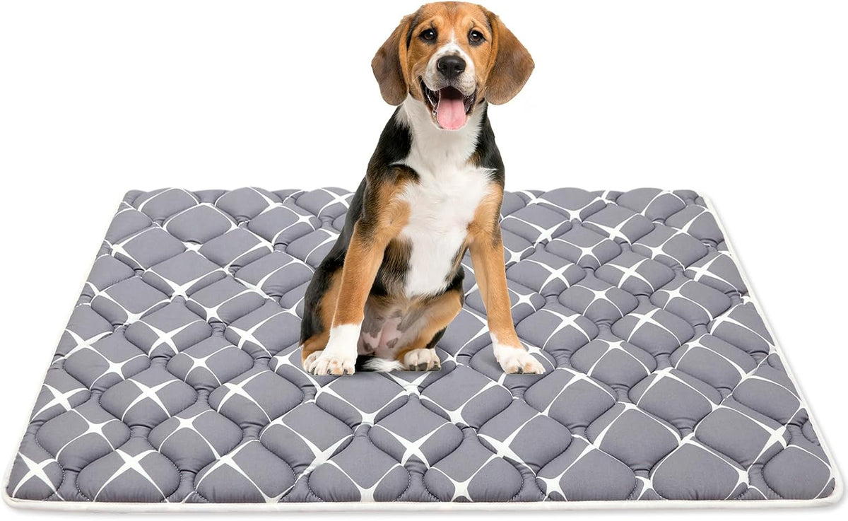 Bubble Bear Dog Crate Pad - Ultra Soft, Washable Crate Mat, Anti-Slip Kennel Pad for Small/Medium/Large Dogs, Dark-Hued to Hide Stains (36"X23")