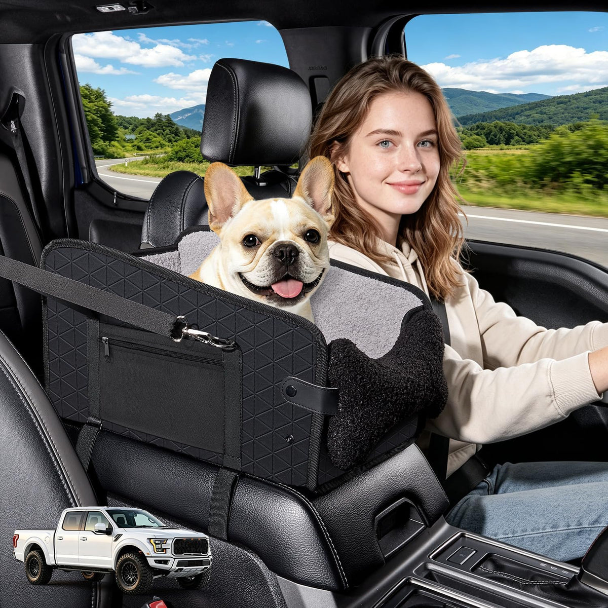 Center Console Dog Car Seat,Pet Car Seats for Small Dogs,Under 30 Lbs